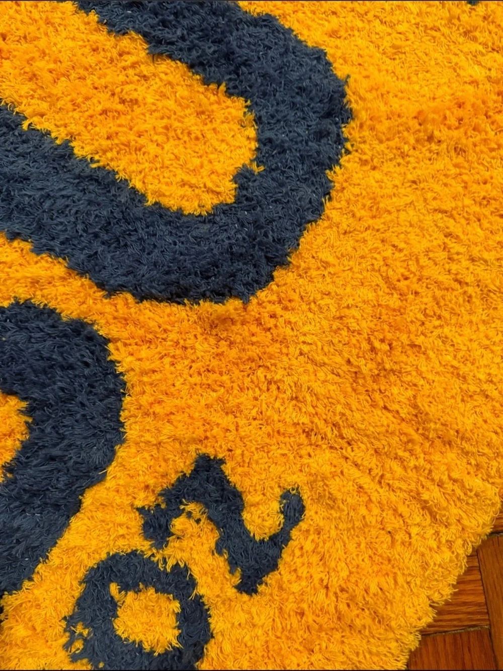 Urban Outfitters Butter Tufted Shag Rug 2X6